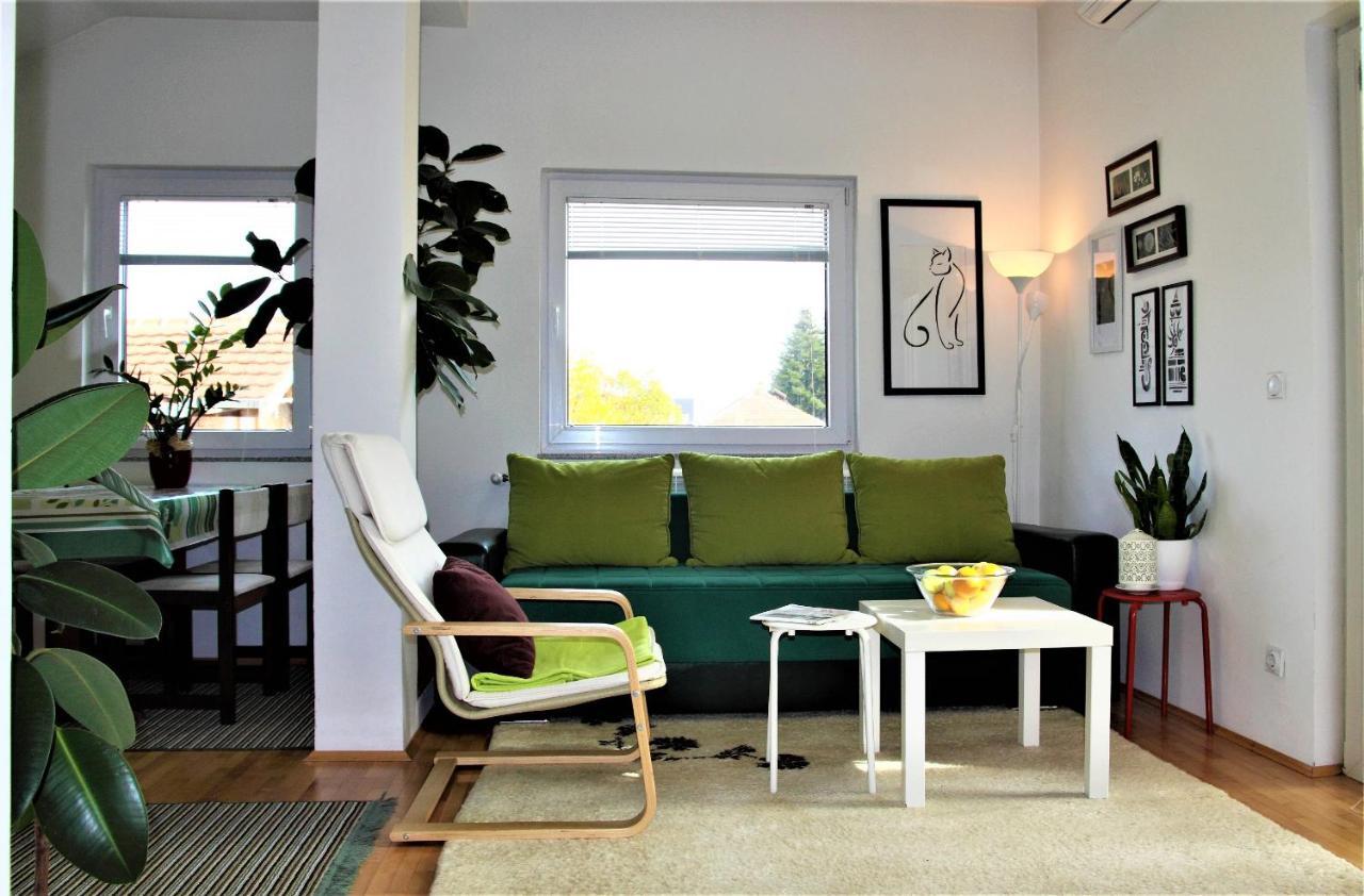 Central Modern Apt สตรูกา ภายนอก รูปภาพ